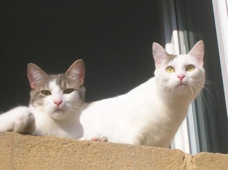 Gaspard et Lilith